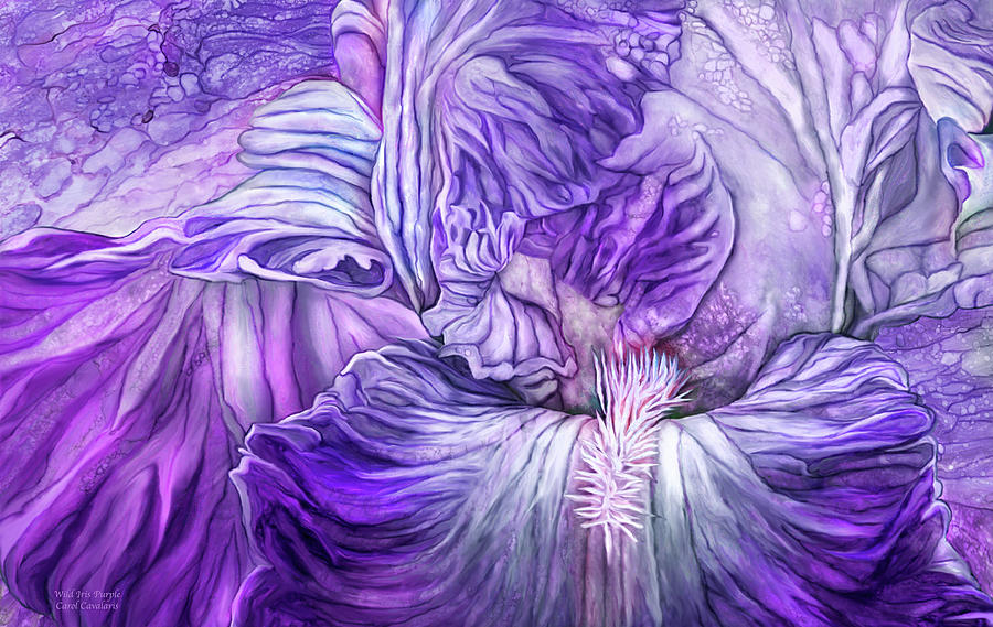 Wild Iris Purple Mixed Media by Carol Cavalaris