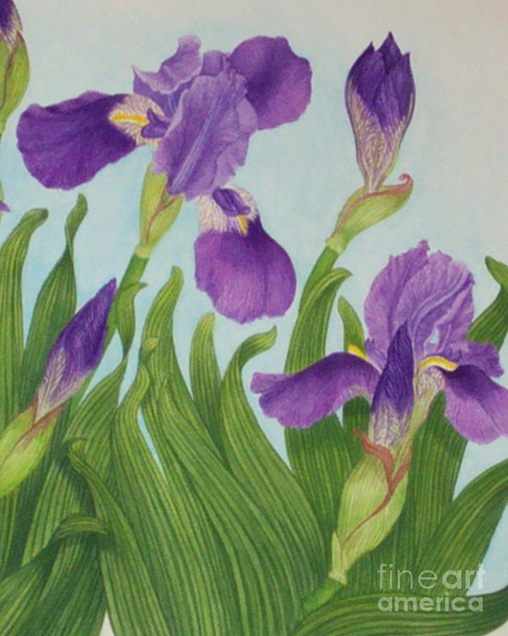 Wild Irises - Detail Painting by Janet Summers-Tembeli