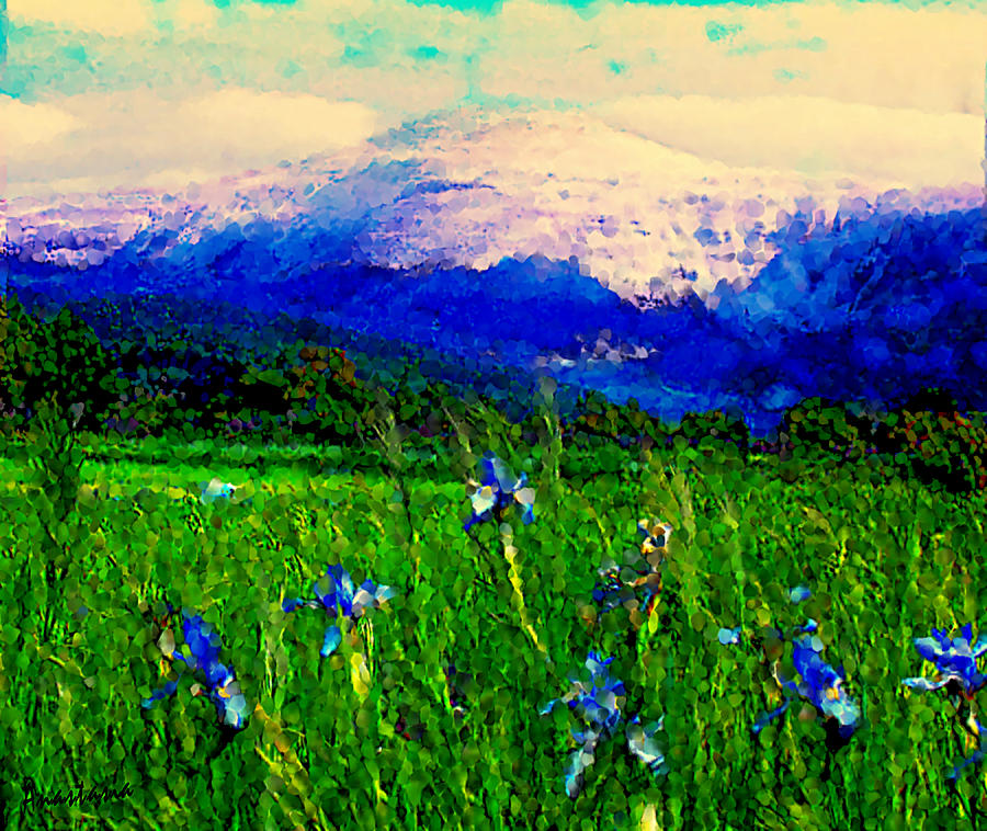 Wild Irises and La Jicarita Peak Photograph by Anastasia Savage Ealy