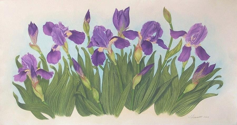 Wild Irises Painting by Janet Summers-Tembeli
