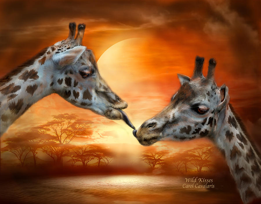 Giraffe Mixed Media - Wild Kisses by Carol Cavalaris