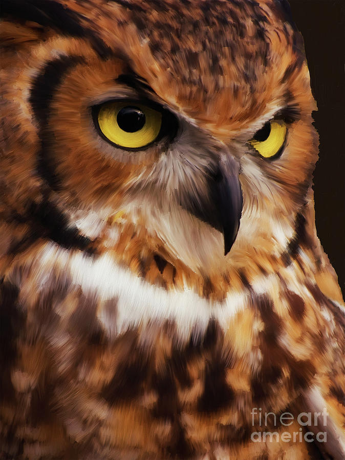 Wild Life Owls Painting by Gull G