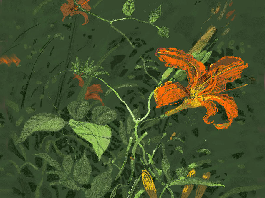 Wild Lilly Digital Art by Judith Barath