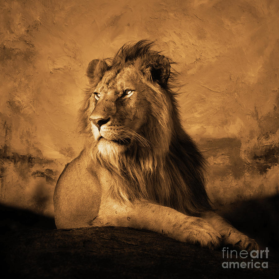 Wild Lion  Painting by Gull G