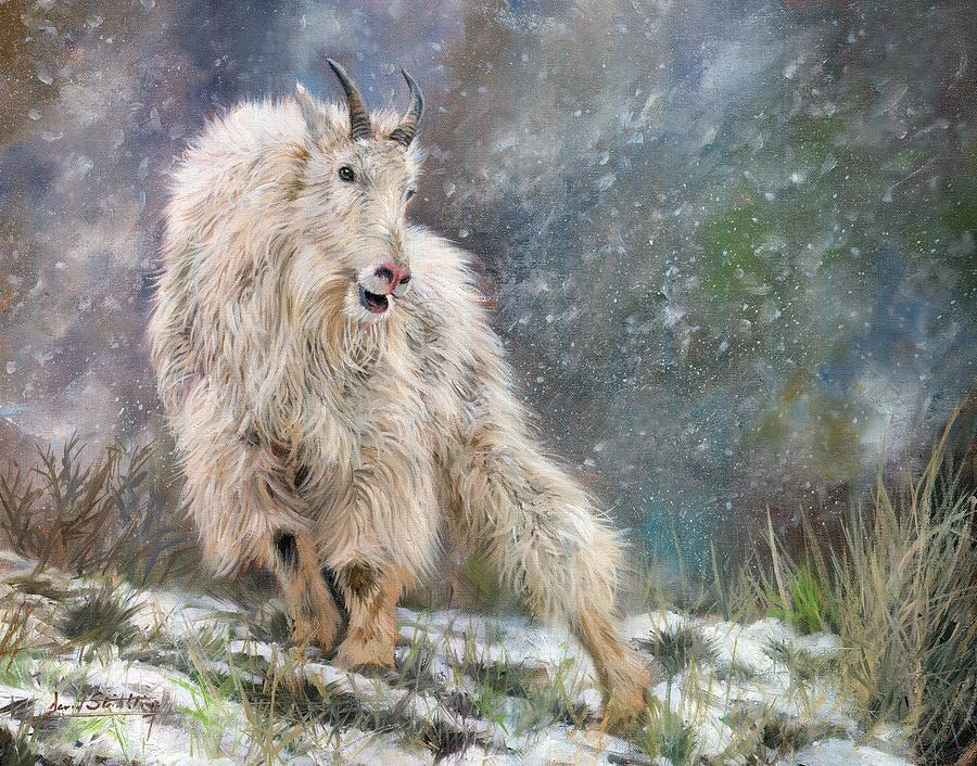 Wild Mountain Goat Painting