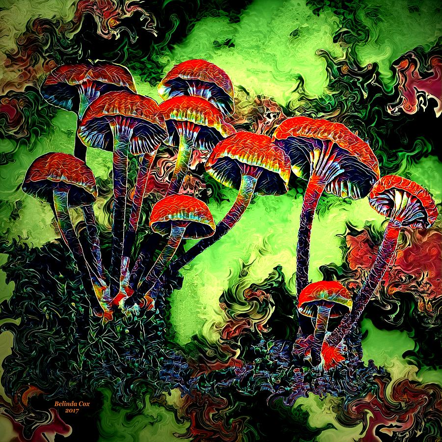 Wild Mushrooms Digital Art by Artful Oasis