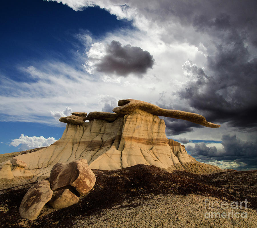 Wild New Mexico Land Of Enchantment Photograph by Bob Christopher
