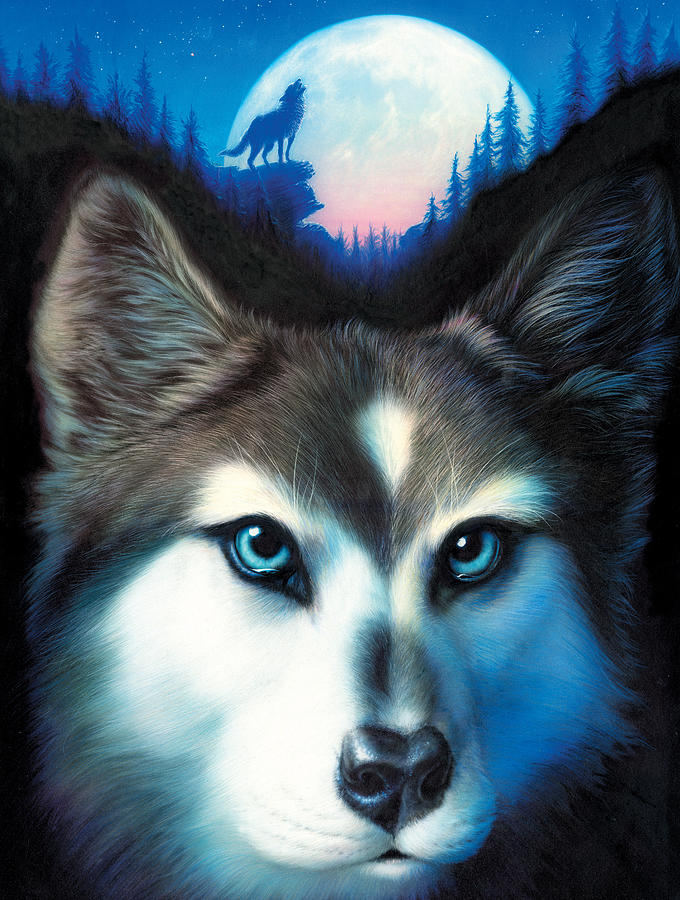 Wolves Photograph - Wild One by MGL Meiklejohn Graphics Licensing