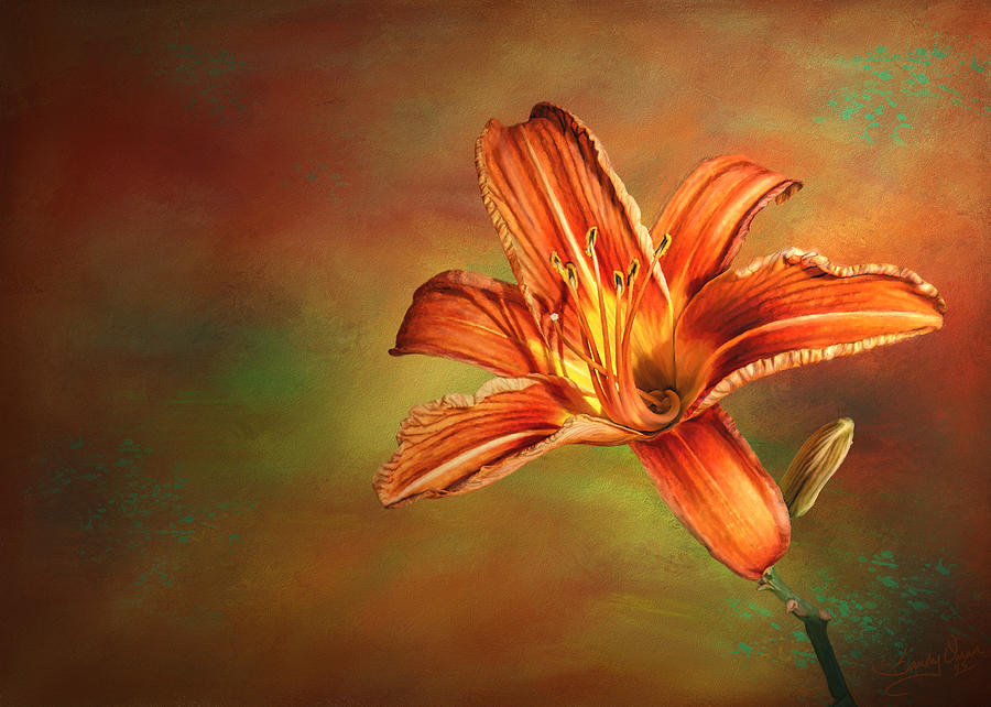 Lily Digital Art - Wild Orange Lily by Sandy Oman