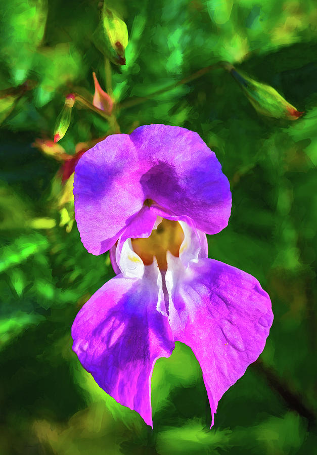 Wild Orchid - Paint Photograph by Steve Harrington