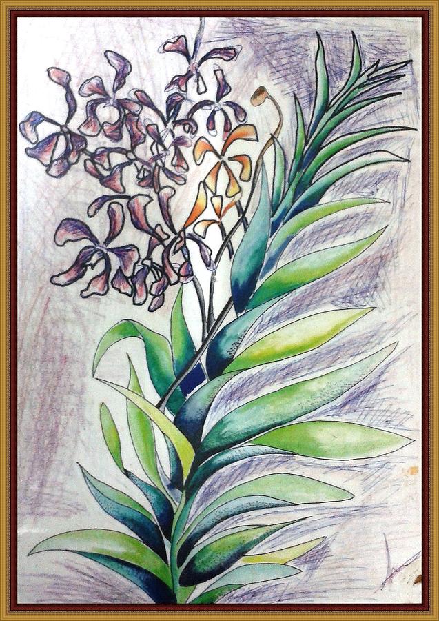 Wild Orchid Plants Drawing by Freddy Liew Yu Shin - Fine Art America