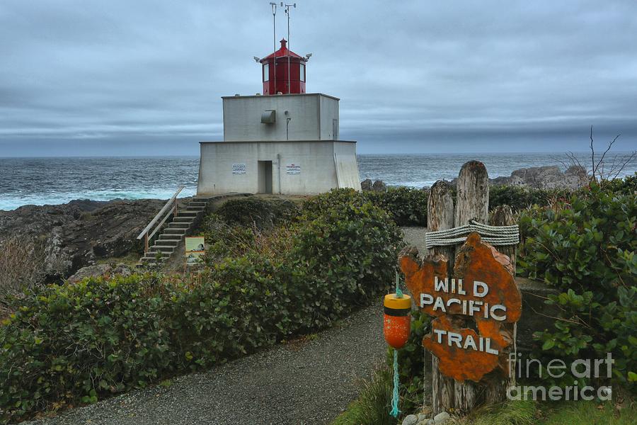 Wild Pacific Lighthouse Photograph by Adam Jewell