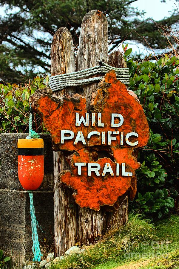 Wild Pacific Trail Sign Photograph by Adam Jewell