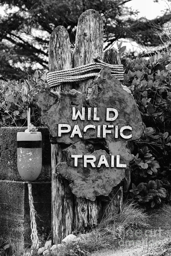 Wild Pacific Trail Sign - Black And White Photograph by Adam Jewell