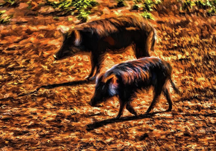Wild Pigs 3 Photograph by Kristalin Davis