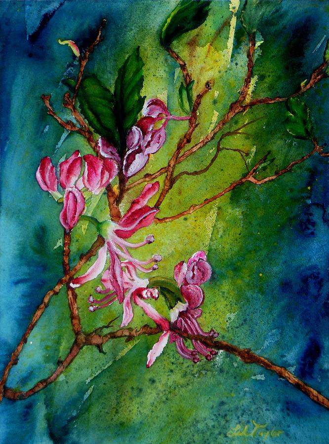 Spring Painting - Wild Pink by Lil Taylor
