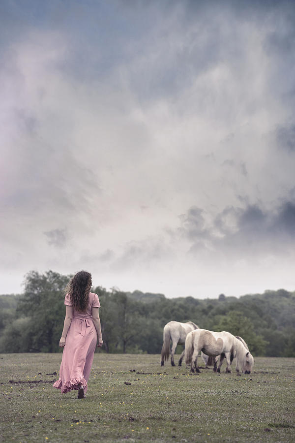 Horse Photograph - Wild Ponies by Joana Kruse