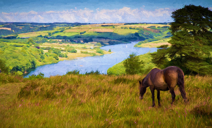 Wild Pony By Beautiful Wimbleball Lake Somerset England Uk ...