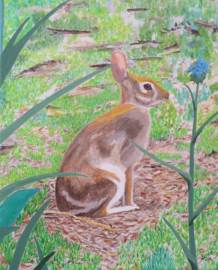 Nature Painting - Wild Rabbit by Hilda and Jose Garrancho
