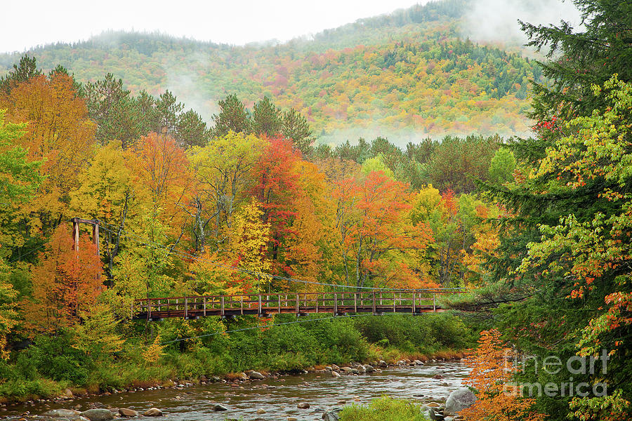 Fall Photograph - Wild River Bridge by Susan Cole Kelly