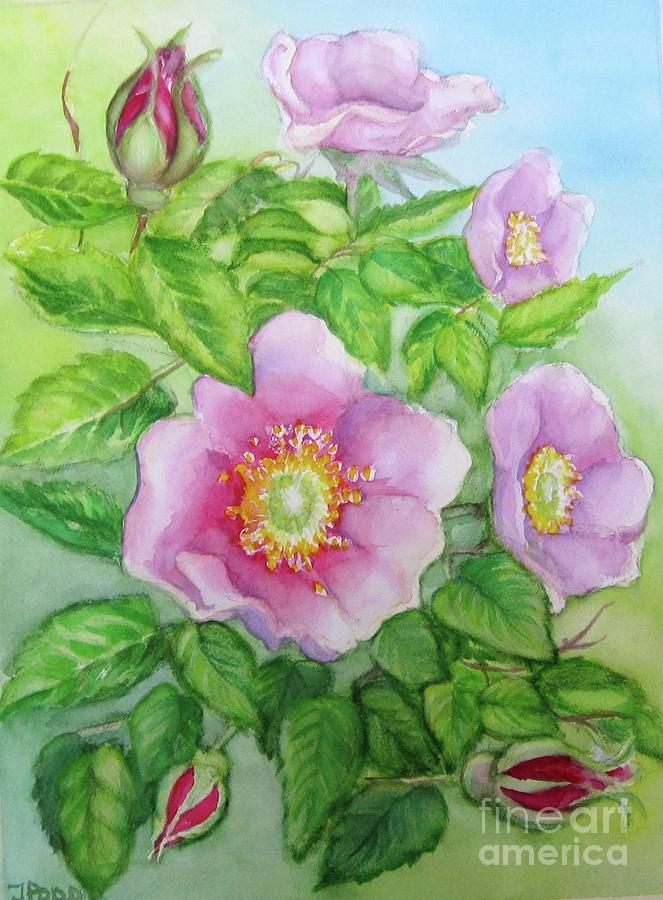 Wild Rose 3 Painting by Inese Poga