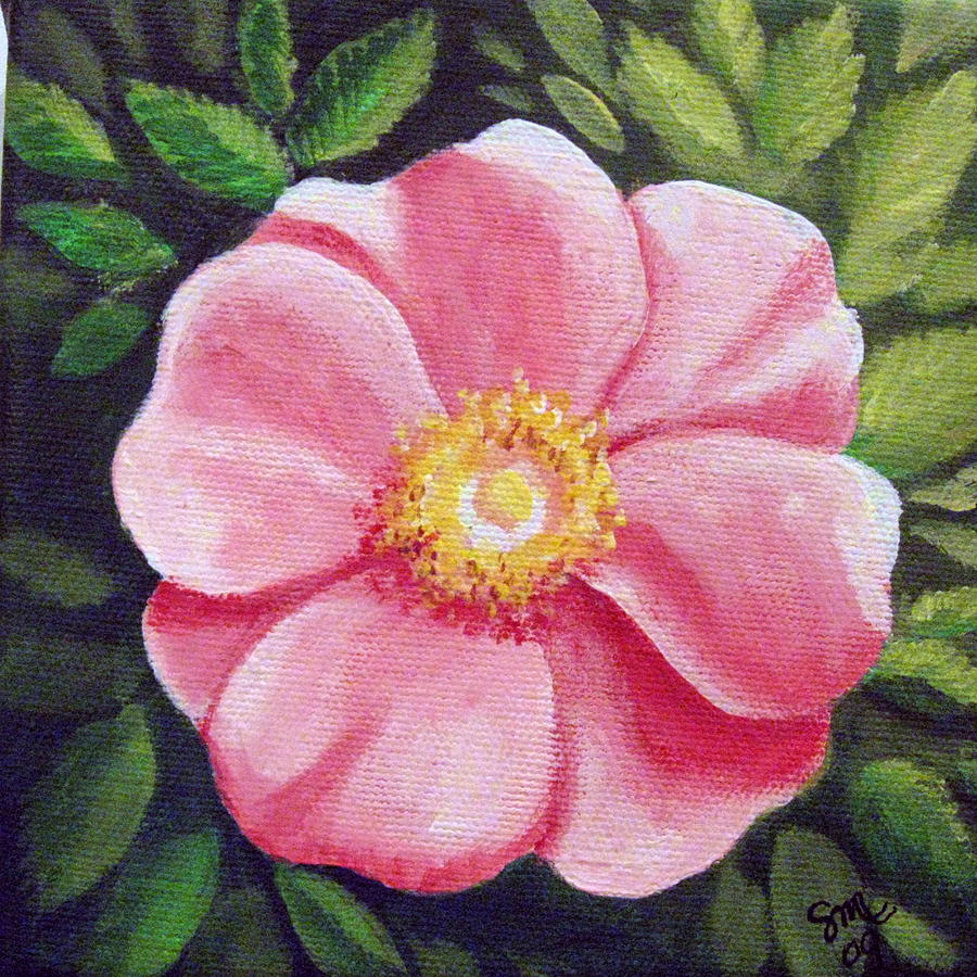 Wild Rose Painting by Sharon Marcella Marston