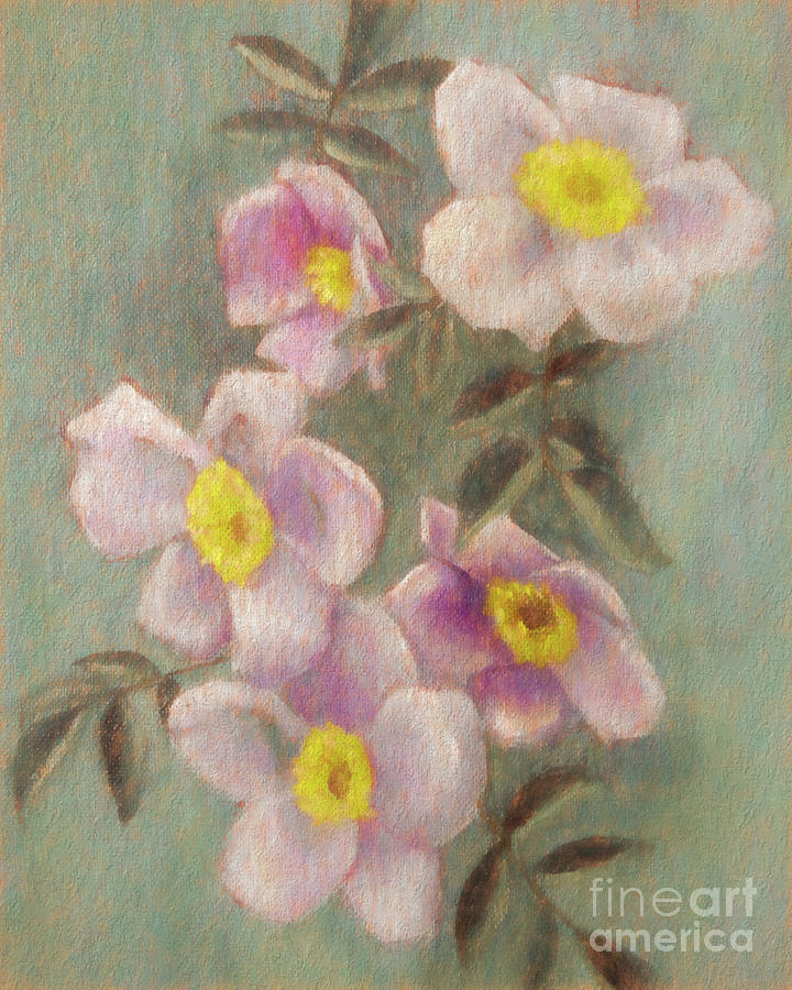 Wild Roses Painting by Susan Lafleur