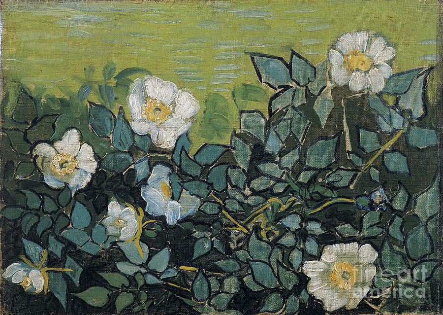 Wild Roses Painting by Van Gogh