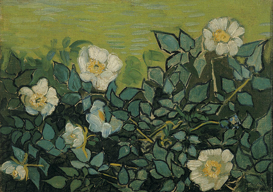 Wild Roses, from 1890 Painting by Vincent van Gogh