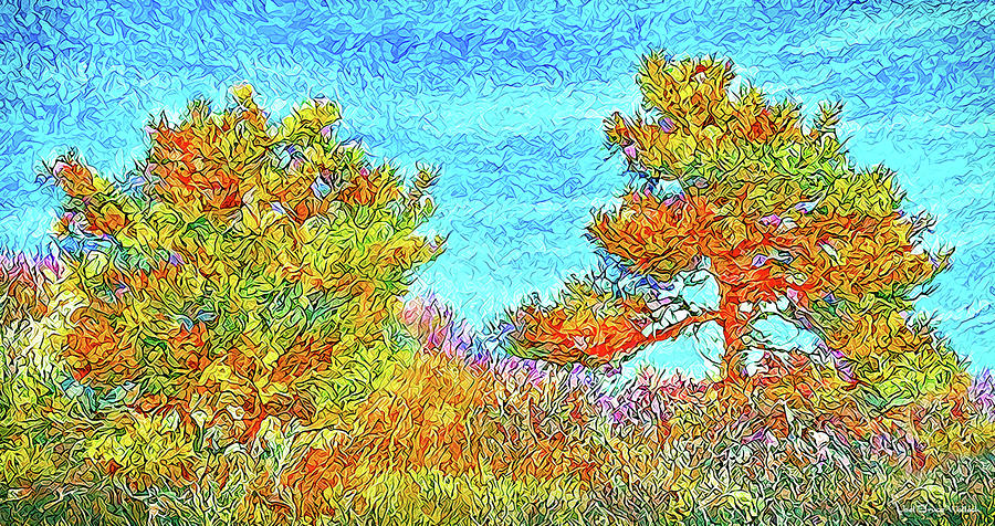 Wild September Pines - Colorado Digital Art by Joel Bruce Wallach