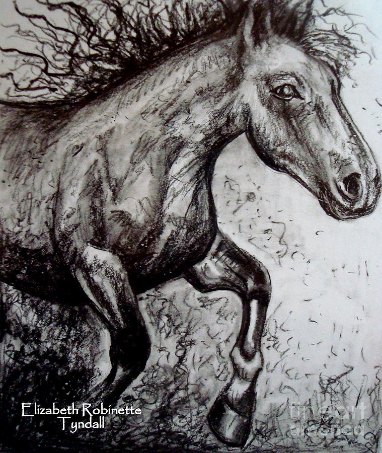 Wild Stallion Painting by Elizabeth Robinette Tyndall