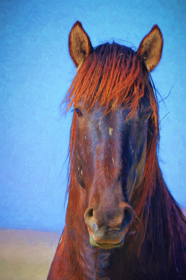 Wild Stallion Portrait Photograph by Greg Norrell