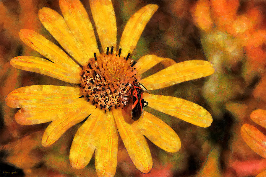 Wild Sunflower and Boxelder Bug Photograph by Anna Louise