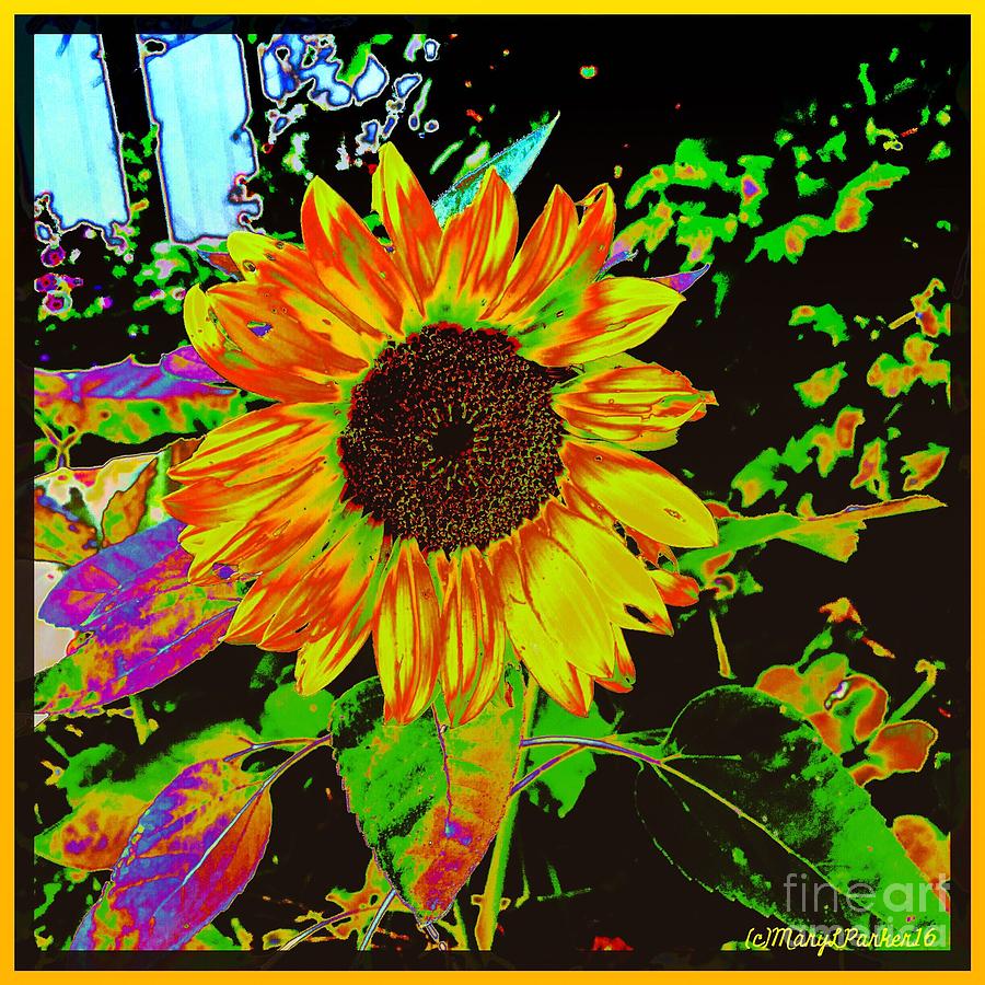 Wild Sunflower Digital Art by MaryLee Parker