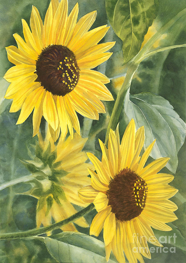 Sunflowers Painting - Wild Sunflowers by Sharon Freeman