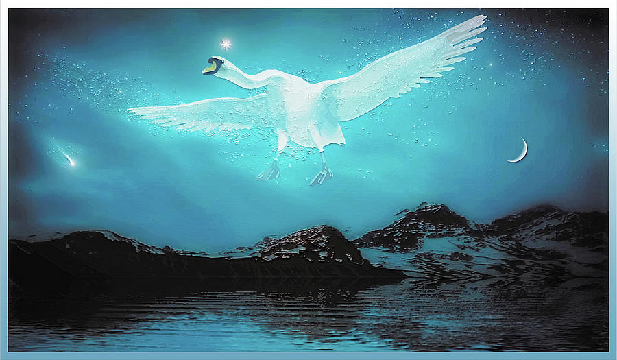 Wild Swan Digital Art by Harald Dastis