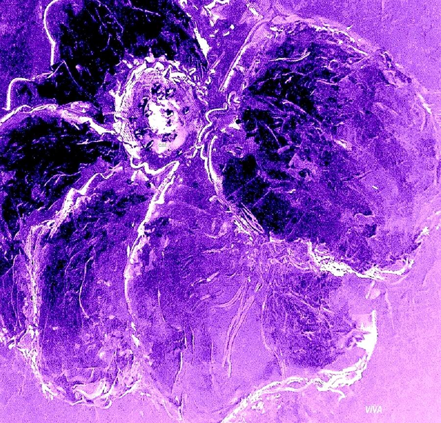 Wild Thing Purple Painting by VIVA Anderson