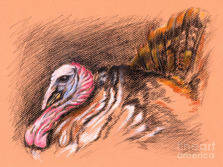 Wild Tom Turkey Drawing by MM Anderson