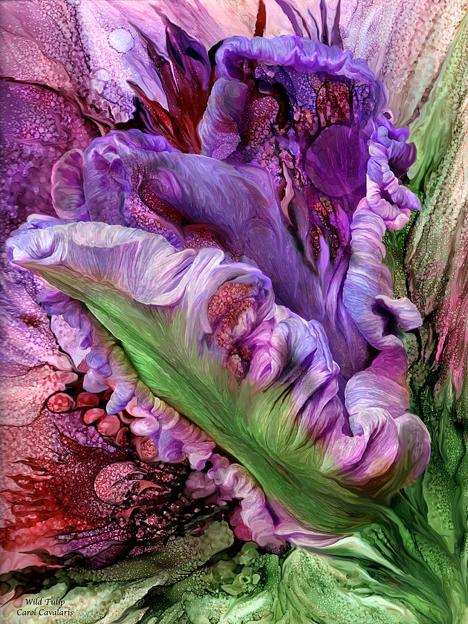 Wild Tulip Mixed Media by Carol Cavalaris