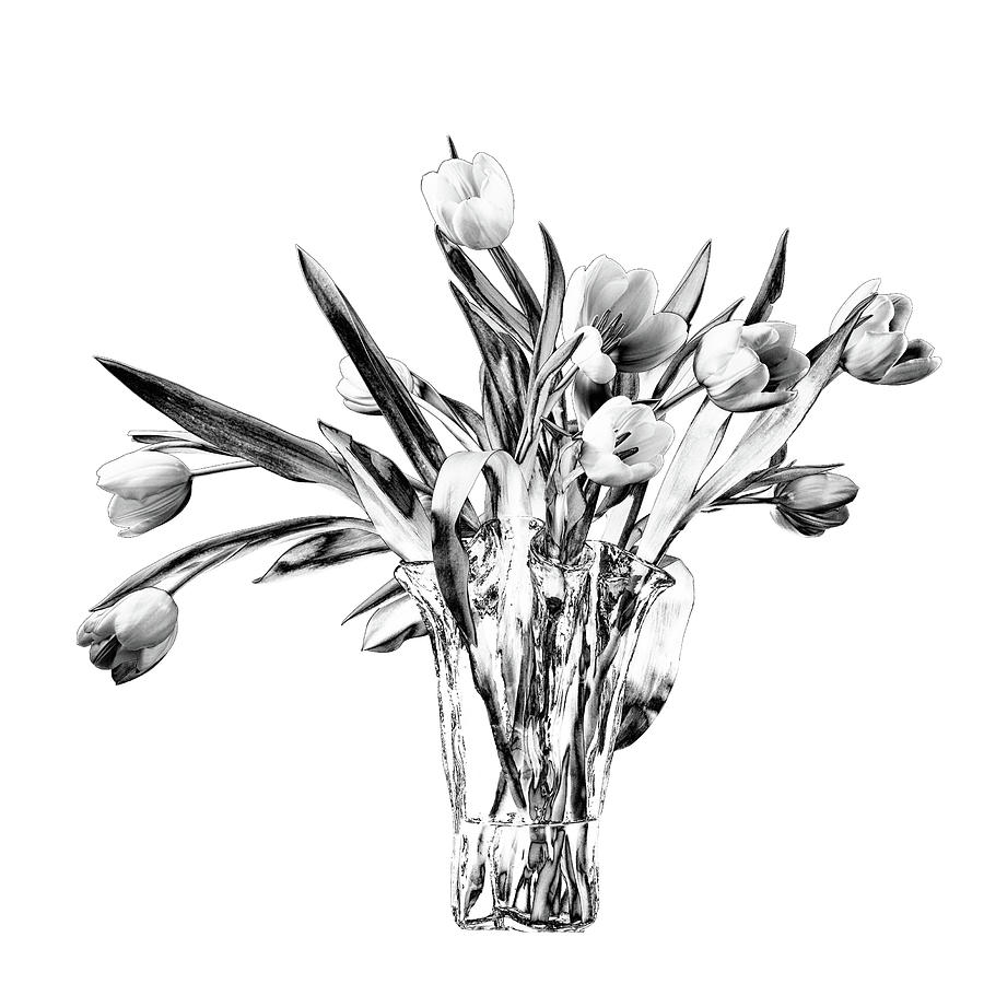 Wild Tulip Etching Photograph by Georgette Grossman