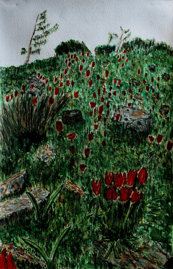 Wild Tulip. Painting by Shlomo Zangilevitch