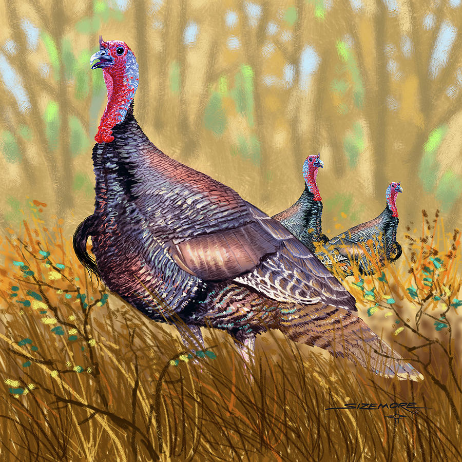 Wild Turkey Digital Art By Dick Sizemore