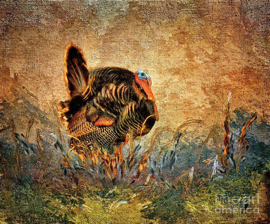 Wild Turkey Digital Art by Lois Bryan