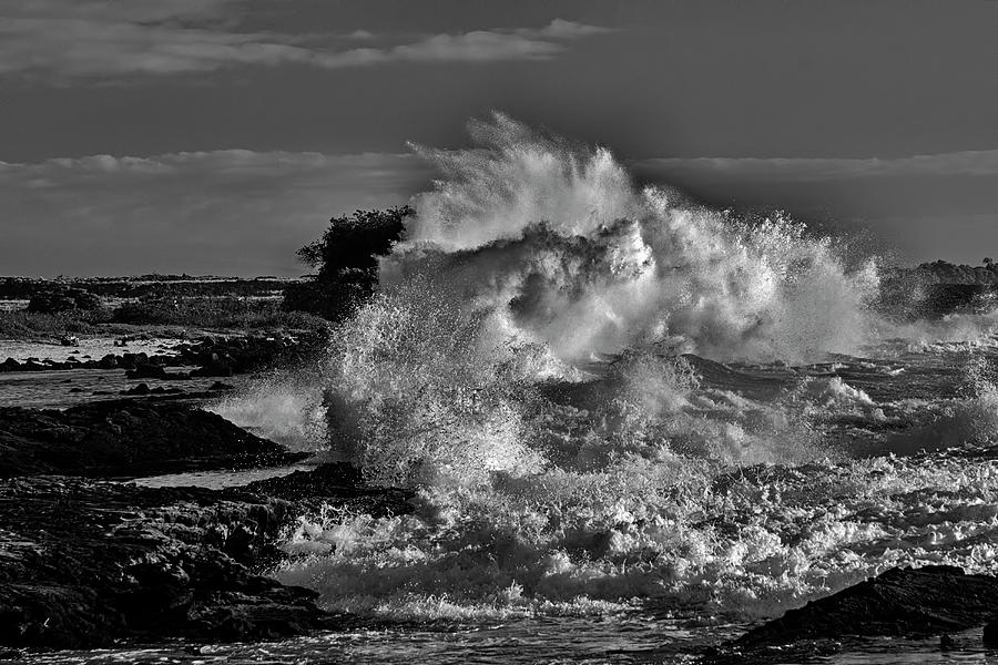 Black And White Photograph - Wild Wave - 365-139 by Inge Riis McDonald