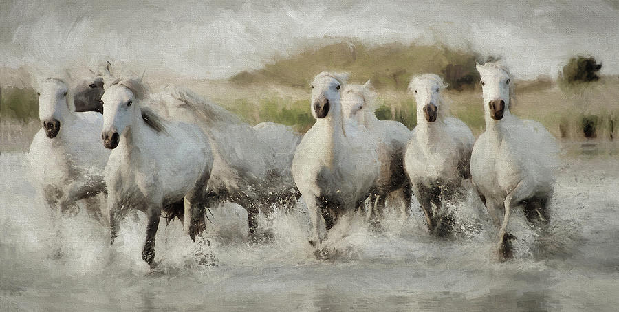 Wild White Horses of the Camargue I Photograph by Karen Lynch