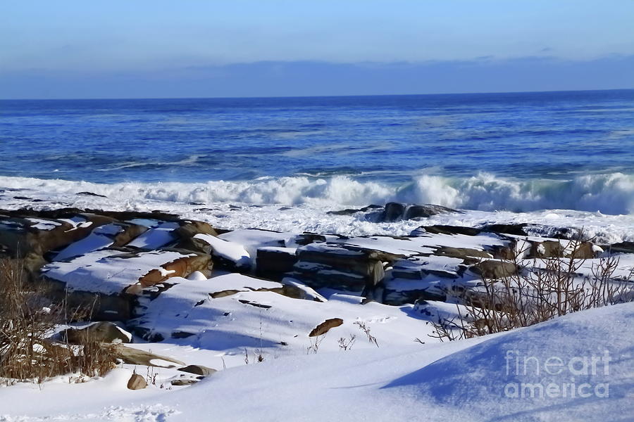 Wild Winter Waves II Photograph by Elizabeth Dow