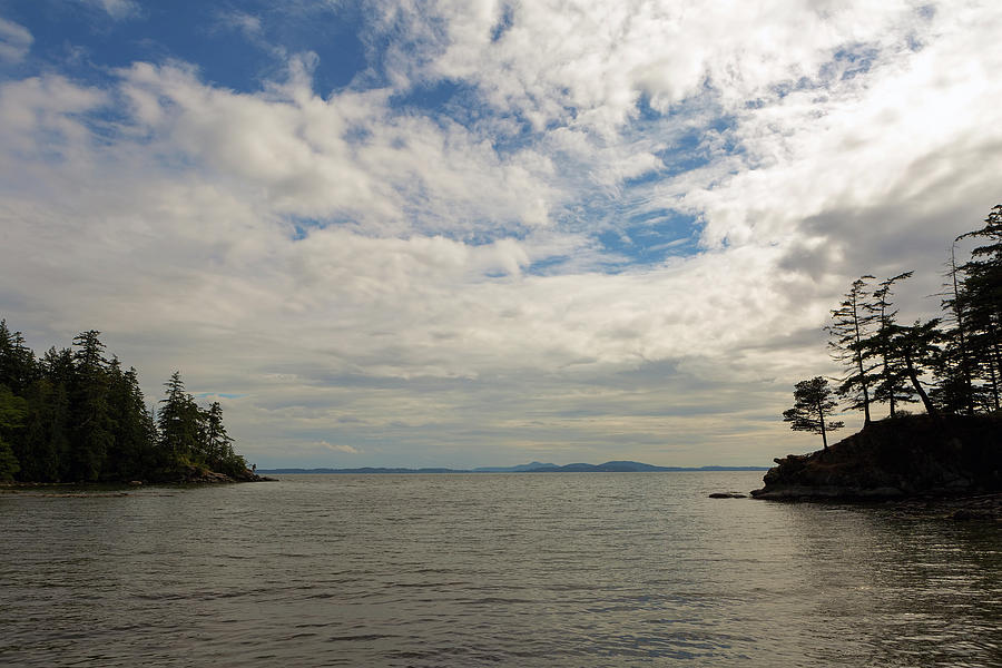 Wildcat Photograph - Wildcat Cove in Larrabee State Park by David Gn Wildcat Photograph - Wildcat Cove in Larrabee State Park by David Gn