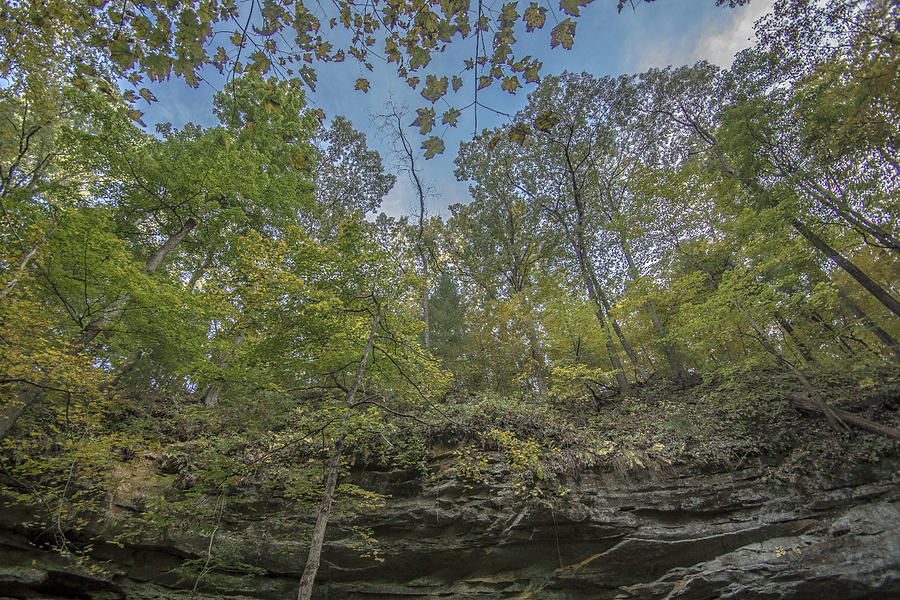 Wildcat Den Cliffs and Trees in Fall Photograph by Paul Brooks