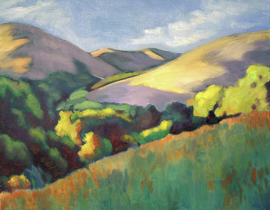 Wildcat Hillside Late Afternoon Painting by Linda Ruiz-Lozito