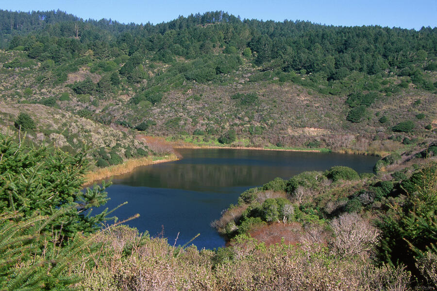 Wildcat Lake Photograph by Soli Deo Gloria Wilderness And Wildlife ...